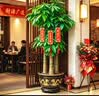 叹为观止大型植物发财树各种大颗盆栽开业乔迁客厅办公室内好养大型花卉 三杆发财树【1.6-1.8米】 含盆 实拍图