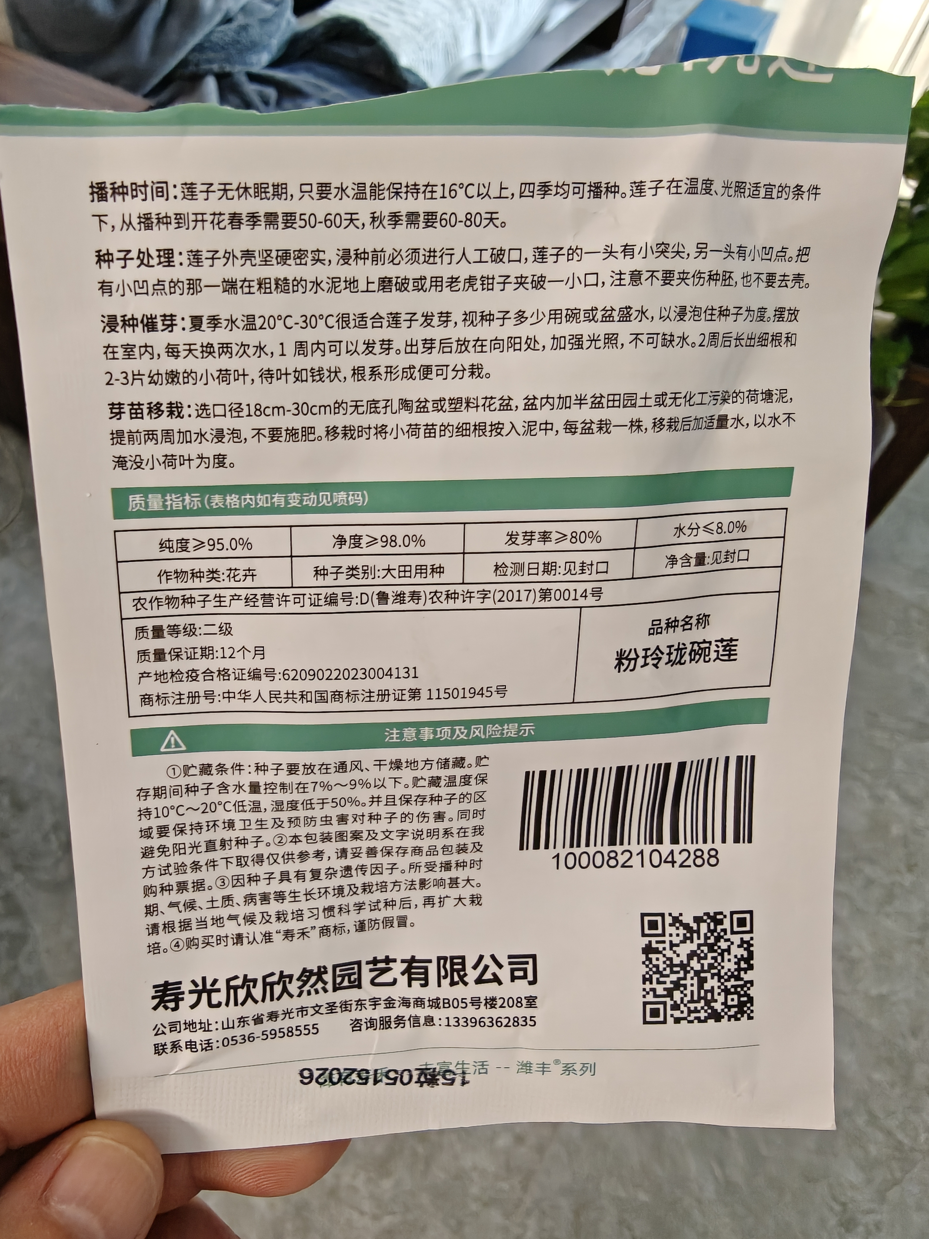 寿禾 碗莲种子苗水培土培荷花已开口花卉种籽 开口碗莲种子15粒 实拍图