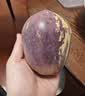 京鲜生甘肃民勤沙漠人参果净重4.5斤单果150g+10-15个生鲜源头直发包邮 实拍图