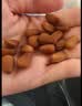 三只松鼠东北松子 手剥开口每日坚果炒货干果家庭休闲零食100g/袋 实拍图