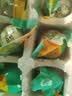 【热销百万单】正宗咸鸭蛋50g/枚饱满流油生鲜超市早餐新鲜即食 6枚 实拍图