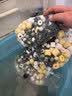 疯狂水草鱼缸过滤材料1000g适合小米鱼缸硝化细菌滤材细菌屋鱼池过滤材料 实拍图