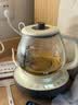 小熊（Bear）煮茶壶喷淋式煮茶器 小型一人蒸茶壶养生壶 迷你养生烧水壶 1升 ZCQ-H10D1 礼物 实拍图