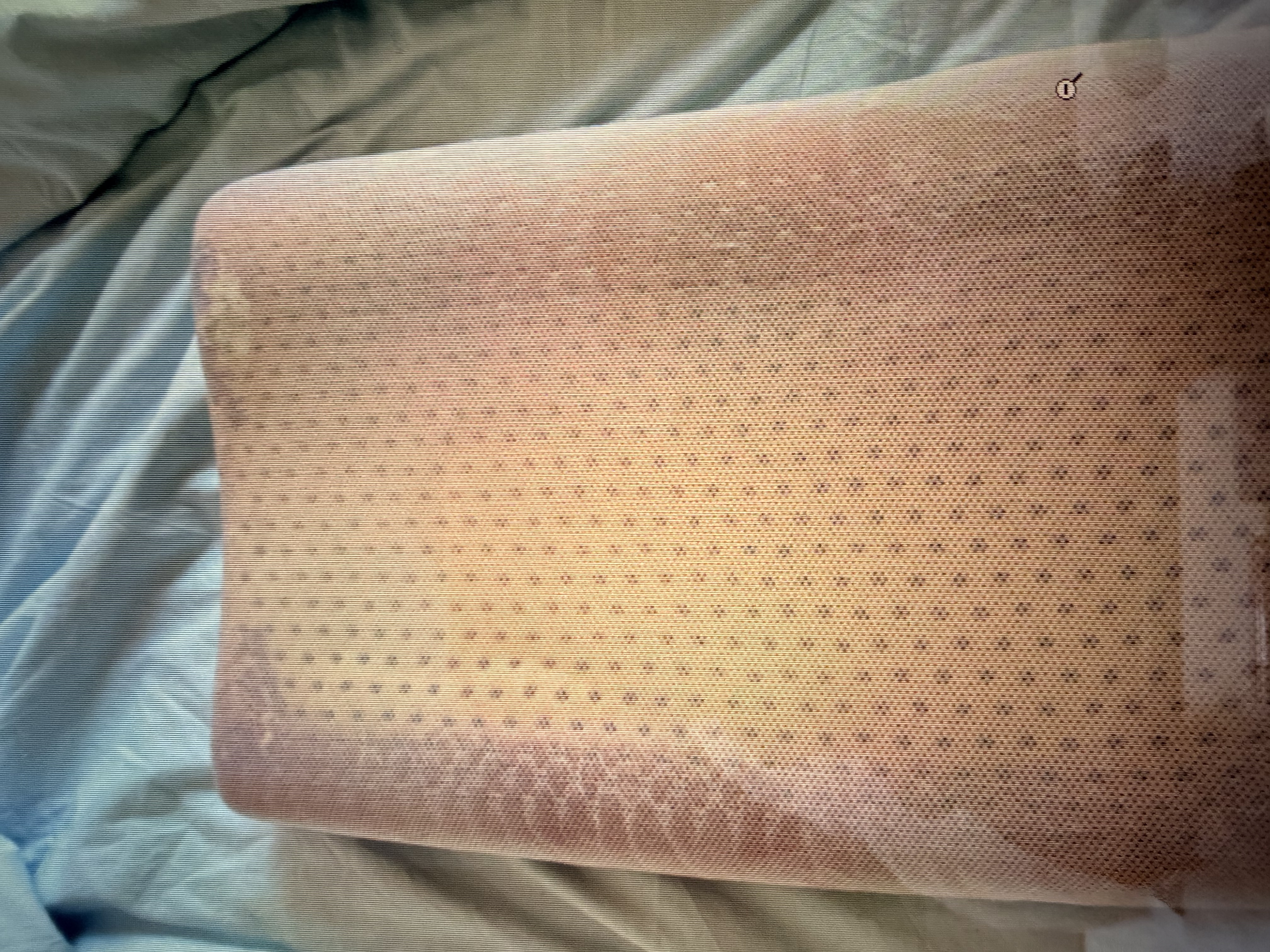 睡眠博士（AiSleep）乳胶枕 94%天然乳胶 泰国进口成人护颈椎枕头 深睡助眠专用波浪枕 实拍图