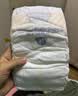 名典泰迪纸尿裤XL码50片【11.5-14kg】婴儿尿不湿超薄透气干爽尿裤 实拍图