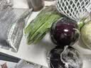 卷心菜约800g 实拍图