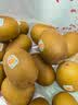 佳沛（zespri）新西兰金奇异果22粒巨大原箱146-175g猕猴桃水果礼盒 实拍图