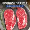 澳牛日记 澳洲和牛谷饲M5原切牛排 净重2斤 雪花牛排生鲜牛霖/臀腰肉牛扒 实拍图