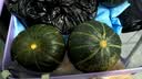 京鲜生 内蒙贝贝南瓜净3斤(粉糯瓜)中果300+蔬菜辅食板栗味源头直发 实拍图