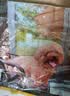 台派狗干粮成犬泰迪金毛比熊小中大型全犬种通用型狗粮5kg 实拍图