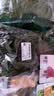 【烧烤季】钟灵山罗马生菜400g 实拍图