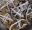 【活蟹】湖鲜阳澄 大闸蟹 去绳足重 全母蟹3.3-3.6两 8只 鲜活超大螃蟹生鲜中秋礼盒装 实拍图