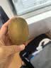 佳沛（zespri）绿奇异果特大果22-25个原箱装单果约135-176g 猕猴桃 水果 实拍图