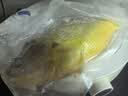 三都港 冷冻黄花鱼700g/2条装 大黄鱼深海鱼 生鲜鱼类 海鲜水产中秋礼品 实拍图