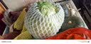 京鲜生云南新鲜绿甘蓝净重3斤 卷心菜 包菜 甘蓝新鲜蔬菜 源头直发 实拍图