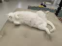 爱立方猫条幼猫成猫湿粮猫咪通用主食猫条 鸡鱼兔混合装12g*9条 实拍图