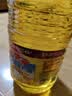 鲁花 食用油 物理压榨 葵花仁油6.18L  实拍图