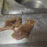 大希地【赠礼包】整切牛排牛肉儿童牛排菲力西冷眼肉冷冻食材盒装10片装 整切西冷牛排5片+整切菲力牛排5片 实拍图