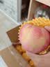 佳农烟台红富士【特大果】苹果 净重10斤单果220g+ 生鲜水果 源头直发 实拍图