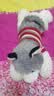 蜗牛卷哈士奇抱枕夹腿大号趴趴狗睡觉公仔布娃娃玩偶长条枕头送女友礼物 哈士奇抱枕【穿毛衣】 50厘米孩子玩的不大 实拍图