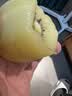 佳沛（zespri）金奇异果25-27粒原箱特大果124-146g猕猴桃水果礼盒 实拍图