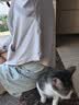 修灭盾宠物猫咪吡虫啉莫昔克丁滴剂猫用体内外同驱除耳螨虱子跳蚤驱虫药 实拍图