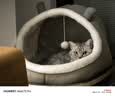 皇家猫粮 成猫猫粮 室内长毛猫 ILH35 通用粮 1-7岁 4.5KG 实拍图