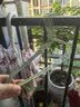 百草园衣架无痕挂衣服防滑晾衣架成人家用加粗加宽大号晾晒衣撑衣挂衣架学生用宿舍20支 实拍图