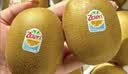 佳沛（zespri）新西兰金奇异果16粒经典果88-103g猕猴桃水果礼盒 实拍图