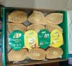 佳沛（zespri）新西兰金奇异果10个装单果重103-114g猕猴桃水果礼盒 实拍图