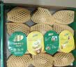 佳沛（zespri）新西兰金奇异果10粒巨大果146-175g猕猴桃水果礼盒 实拍图