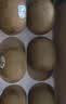 佳沛（zespri）绿奇异果10个装 宝宝果单果约80-89g 水果猕猴桃包邮 实拍图