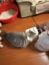 米家无线智能宠物饮水机2 小米猫咪饮水机喂水器自动循环 猫咪喂水机 实拍图