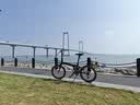 大行（DAHON）P8折叠自行车20英寸8级变速单车KBC083 黑色经典版-京仓 实拍图