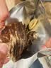 京东京造蔬果安格斯牛排脆4袋装牛脆脆清爽解腻牛肉薄脆休闲零食肉干 实拍图