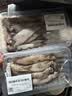 冰鲜笔管红鱿鱼250g（6-10只） 实拍图