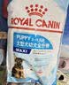 皇家狗粮 幼犬狗粮 幼犬奶糕 宠物中型犬MEJ32全价犬粮2-12月15KG 实拍图
