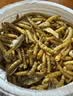 licheers龟粮虾干鱼干三合一乌龟饲料冻干昆虫鱼食乌龟怀孕粮食鱼干 800ml 实拍图