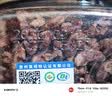 京东京造有机山核桃仁288g 天目山小核桃仁宁国特产非油炸每日坚果自营 实拍图
