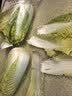 【火锅季】金丝甜心娃娃菜500g（3颗装） 实拍图