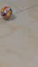 费雪（Fisher-Price）儿童玩具球 拍拍球 认知启蒙 PVC安全材质 10cm狮子彩印球 实拍图