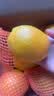 京觅秭归应季脐橙湖北鲜橙榨汁爽口净重8斤单果150g+新鲜水果源头直发 实拍图