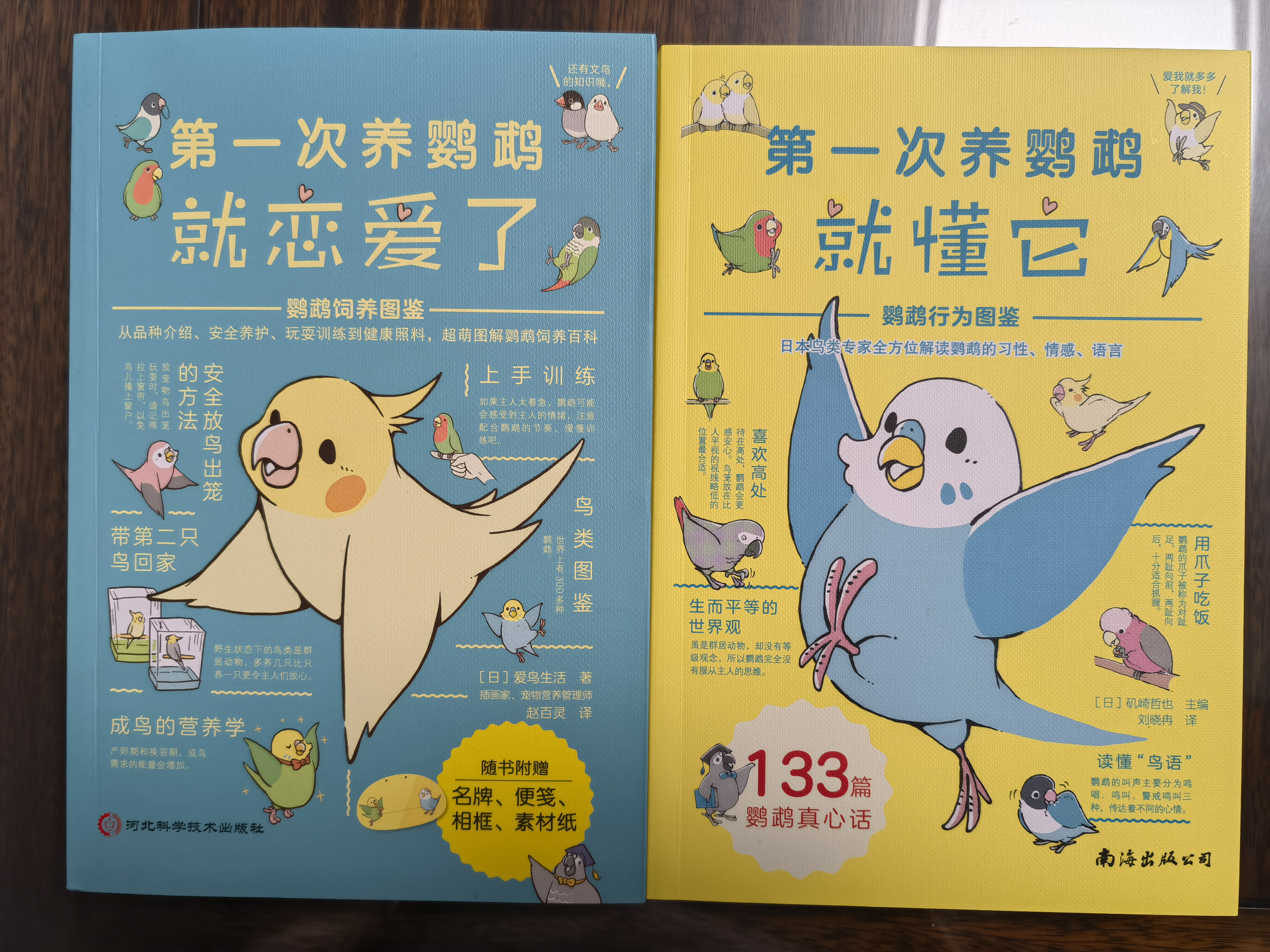第一次养鹦鹉饲养图鉴+行为图鉴 鹦鹉饲养方法 鸟类科普大全品种介绍日常养护玩耍训练鸟类认知书籍 最萌图解鹦鹉饲养百科书 实拍图