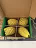 佳沛（zespri）新西兰金奇异果4粒103-114g猕猴桃源头直发水果礼盒 实拍图