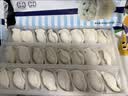 船歌鱼水饺鲅鱼水饺460g(24只) 健康营养早餐夜宵速食生鲜速冻饺子 实拍图