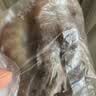 鲜活大基围虾250g(10-15只) 实拍图