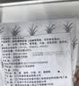 潮兴记汕头牛肉丸250g 牛肉含量95%不含猪肉正宗潮汕手打火锅食材早餐 实拍图