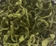 一杯香茶叶绿茶明前碧螺春1钻250g2026新茶礼盒装礼品送礼自己喝散装 实拍图