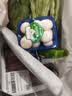 上海青约500g(油菜) 实拍图