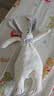 澳贝（auby）婴幼儿玩具抗菌小兔安抚巾宝宝哄睡神器阿贝贝玩偶新生儿满月礼物 实拍图